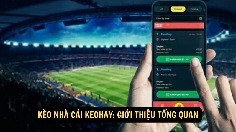 Kèo Nhà Cái Keohay: Thắng lớn với kèo bóng chính xác 3 Kèo nhà cái keohay: Giới thiệu tổng quan